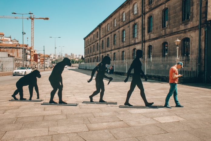 Evolution - people and monkeys walking on sidewalk