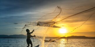 Person on sea in a boat throwing net to catch the fish