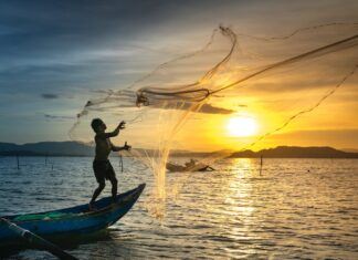 Person on sea in a boat throwing net to catch the fish