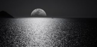 White and Black Moon With Black Skies and Body of Water Photography during Night Time