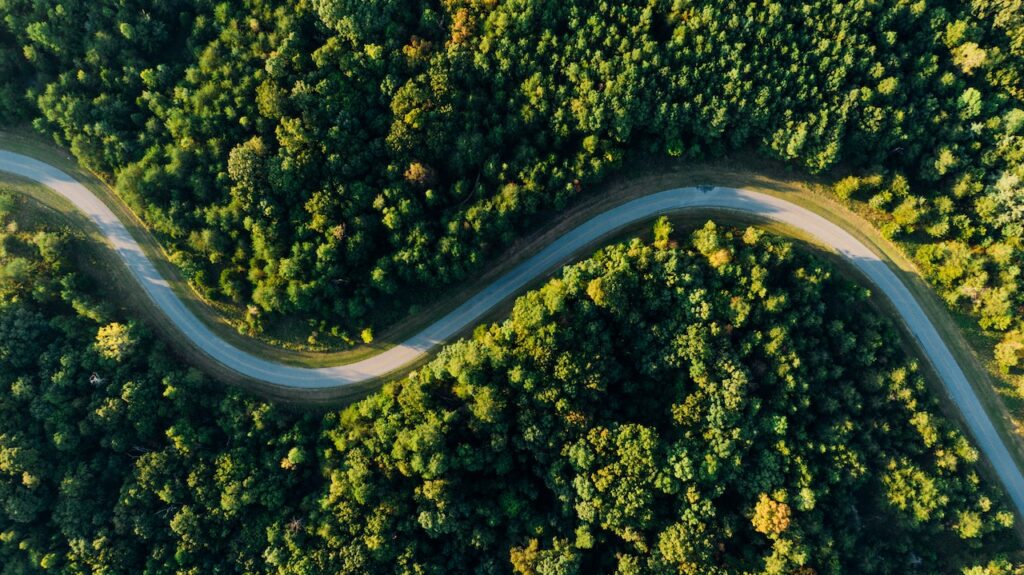 Road from above