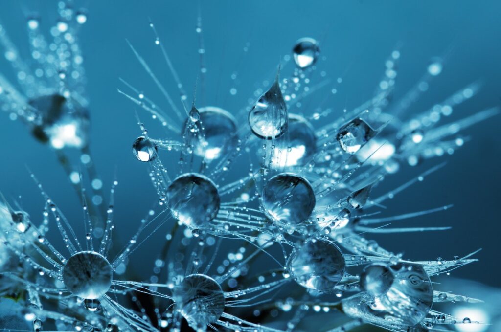 Water particles close up