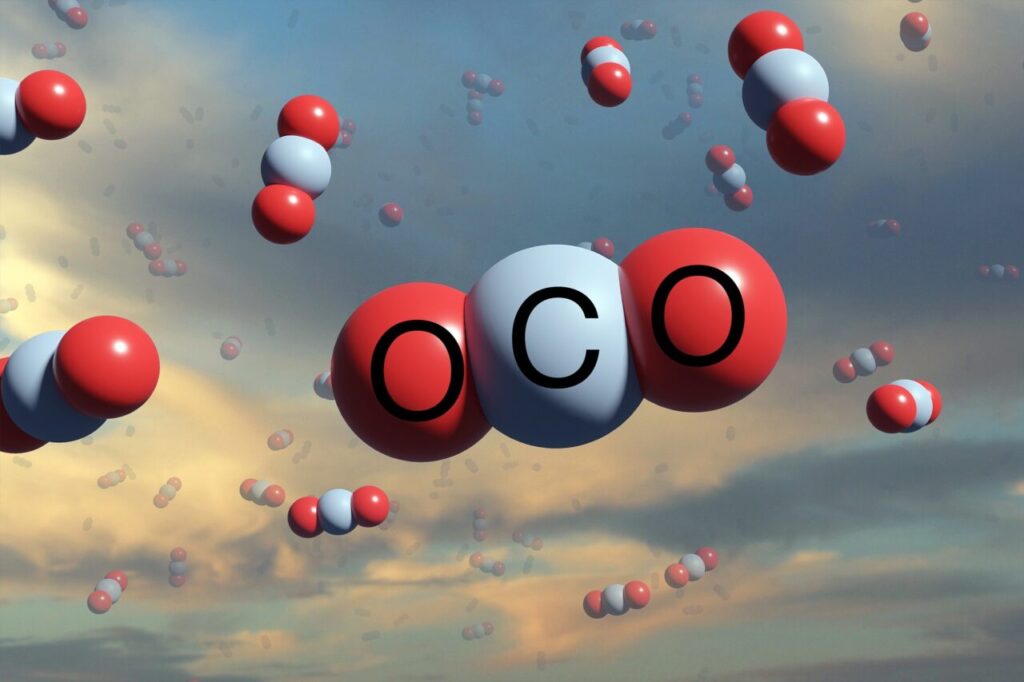 Carbon dioxide is pictured like balloons in correlation with phytoplankton