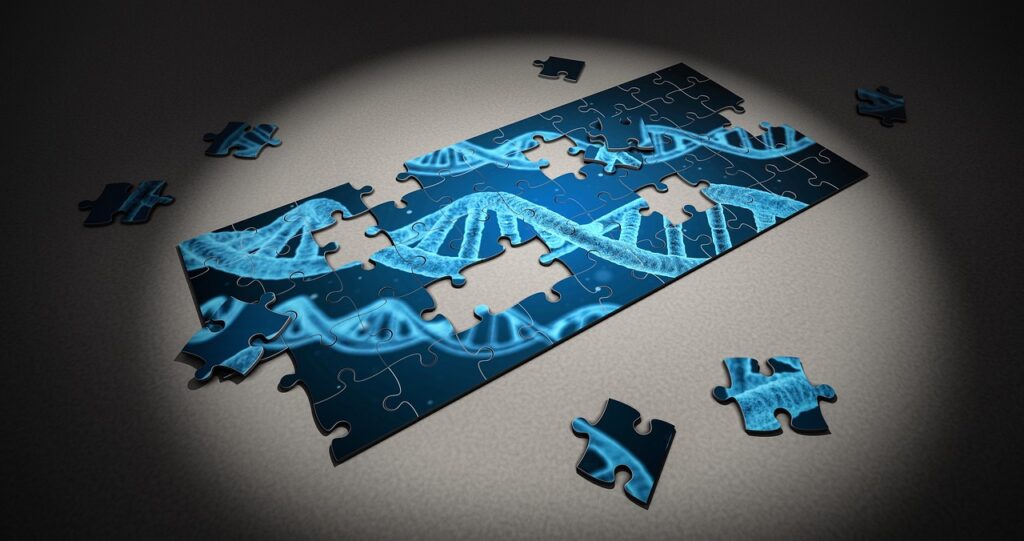 DNA on the puzzle: disease prediction with help of AI