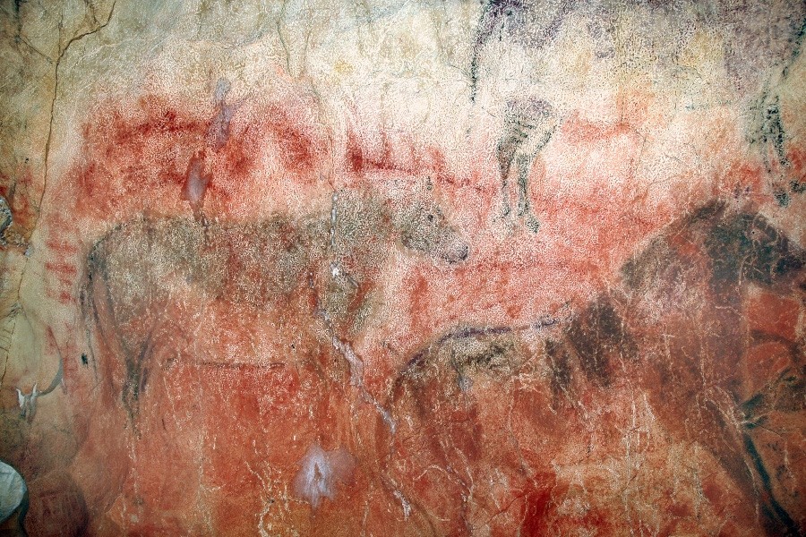 El Castillo Cave Paintings