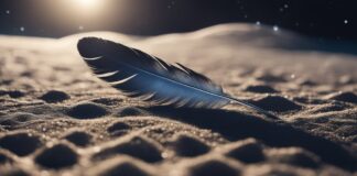 Feather on the Moon's surface