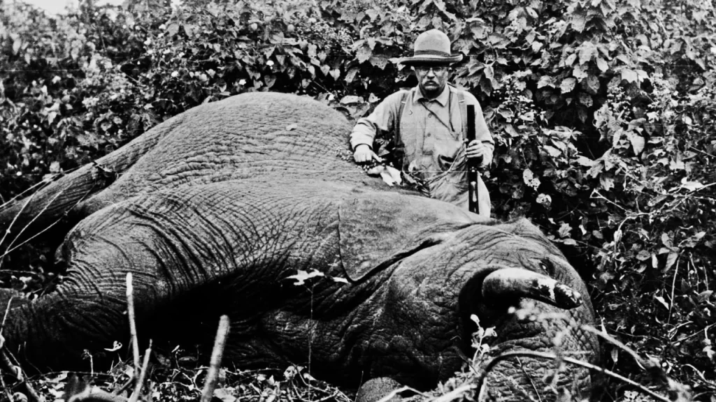 Roosevelt with elephant