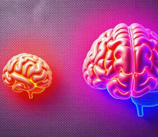 Why Is Global IQ Declining? Small and big brain flourescent