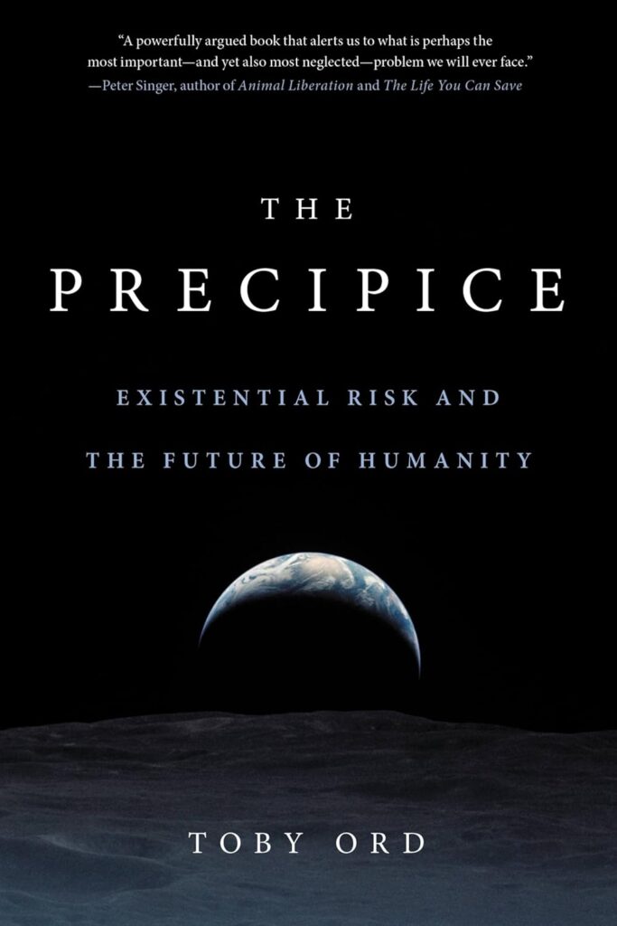 The Precipice book cover