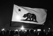 the state of california flag - black and white