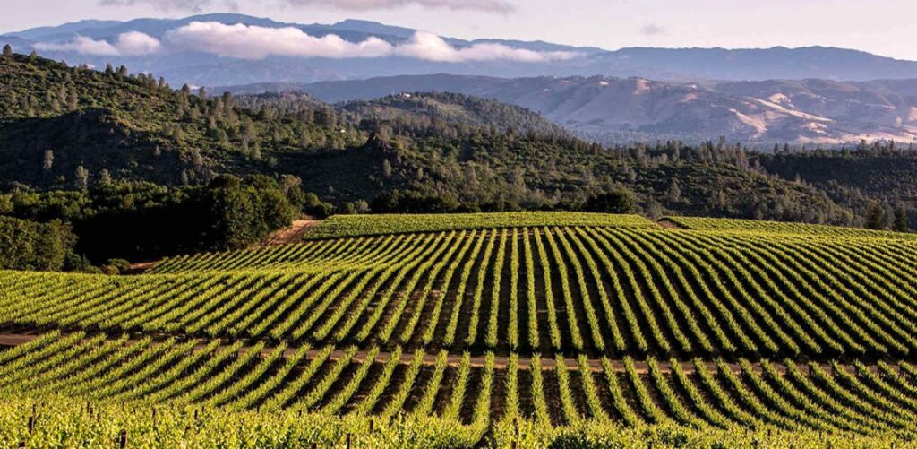 Central Valley California