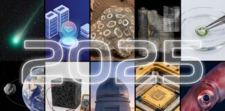 top 10 things in 2025