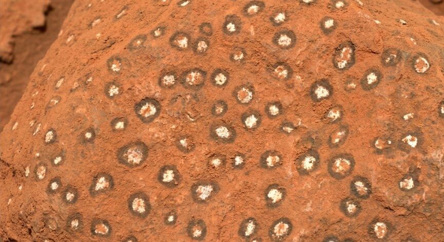 leopard spots on mars